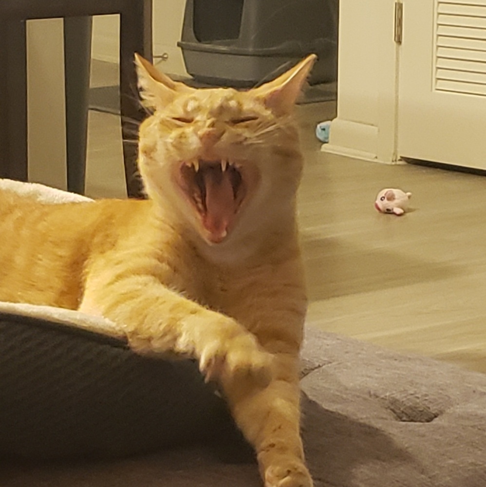 Meet your Posher, Kaitlyn